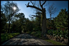 Northern Loudoun's historic gravel roads known as Richard Road outside of the Village of Lovettsville. (Photo by Douglas Graham/WLP)