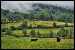Storms clouds and fog rolling in along Williams Gap Road on the Blue Ridge Mountains in Western Loudoun. (Photo by Douglas Graham/WLP)