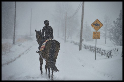 During a snow storm an equestrian makes her way down Foggy Bottom Road near Bloomfield, Virginia. (Photo By Douglas Graham/WLP)
