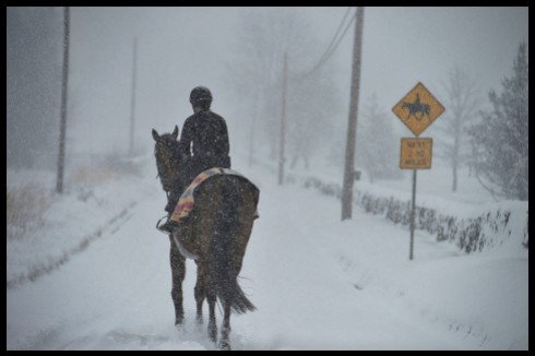 During a snow storm an equestrian makes her way down Foggy Bottom Road near Bloomfield, Virginia. (Photo By Douglas Graham/WLP)